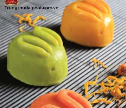 Lễ Hộp Thân Thiện 003