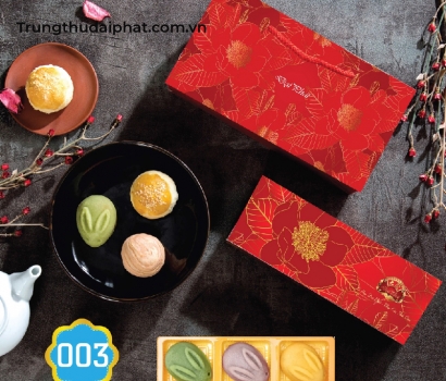 Lễ Hộp Thân Thiện 003