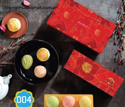 Lễ Hộp Thân Thiện 004