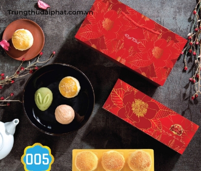 Lễ Hộp Thân Thiện 005