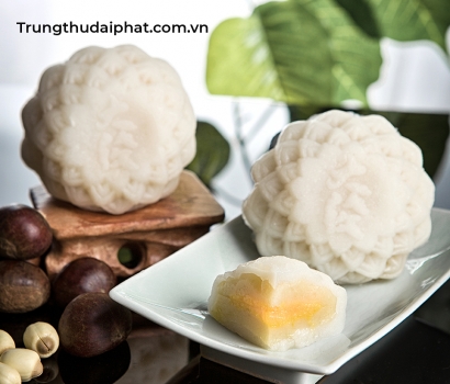 Lễ Hộp Tiêu Chuẩn 105