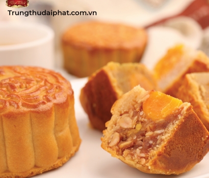 Lễ Hộp Hảo Hạng 203